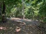 2780-(Tract 4 at Pot Potts Hill Road - Photo 10