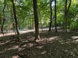 2780-(Tract 4 at Pot Potts Hill Road - Photo 13