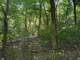 2780-(Tract 4 at Pot Potts Hill Road - Photo 16
