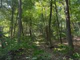 2780-(Tract 4 at Pot Potts Hill Road - Photo 19