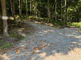 2780-(Tract 4 at Pot Potts Hill Road - Photo 21