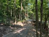 2780-(Tract 4 at Pot Potts Hill Road - Photo 23