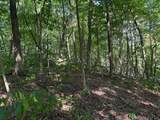 2780-(Tract 4 at Pot Potts Hill Road - Photo 24