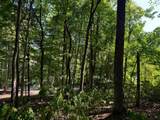 2780-(Tract 4 at Pot Potts Hill Road - Photo 28