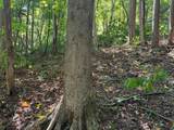 2780-(Tract 4 at Pot Potts Hill Road - Photo 30