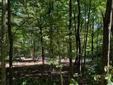 2780-(Tract 4 at Pot Potts Hill Road - Photo 31