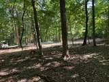 2780-(Tract 4 at Pot Potts Hill Road - Photo 32