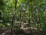 2780-(Tract 4 at Pot Potts Hill Road - Photo 36