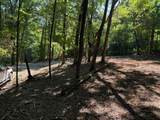 2780-(Tract 4 at Pot Potts Hill Road - Photo 38