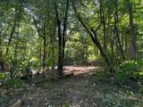 2780-(Tract 4 at Pot Potts Hill Road - Photo 39