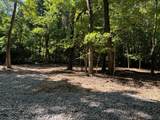 2780-(Tract 4 at Pot Potts Hill Road - Photo 4