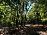 2780-(Tract 4 at Pot Potts Hill Road - Photo 8
