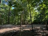 2780-(Tract 4 at Pot Potts Hill Road - Photo 9