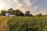 17190 Little Walnut Road - Photo 3