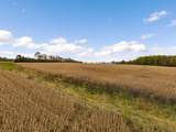 0 Lower Springboro Road - Photo 11