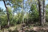 Lot 4 Moss Run Road - Photo 10