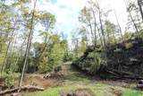 0 Cow Run Road - Photo 10