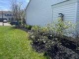 1451 Carmel Drive - Photo 56