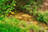 31740 Huston Road - Photo 75