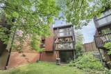 4810 Crazy Horse Lane - Photo 3