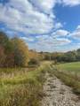 1698-Tract C Seven Hills Road - Photo 2