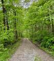 9966 Larimer Road - Photo 19