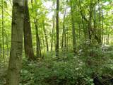 30650 State Route 739 - Photo 15