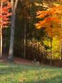 18156 Thompson Ridge Road - Photo 92