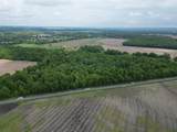 002 Marion Road - Photo 6