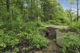 11250 Grass Run Road - Photo 10
