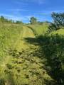 15393 Shade Road - Photo 31