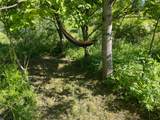 15393 Shade Road - Photo 35