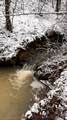 15393 Shade Road - Photo 49