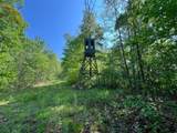 32120 Fout Road - Photo 78
