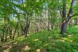 1801 River Road - Photo 13
