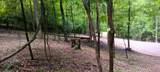 0-(Lot N Woods Flint Mulberry Street - Photo 27