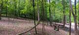 0-(Lot N Woods Flint Mulberry Street - Photo 28