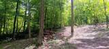 0-(Lot N Woods Flint Mulberry Street - Photo 37