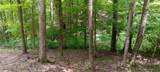 0-(Lot N Woods Flint Mulberry Street - Photo 38