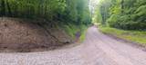 0-(Lot N Woods Flint Mulberry Street - Photo 4