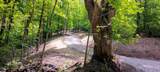 0-(Lot N Woods Flint Mulberry Street - Photo 40