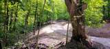 0-(Lot N Woods Flint Mulberry Street - Photo 41