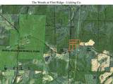 0-(Lot N Woods Flint Mulberry Street - Photo 42