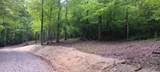 0-(Lot N Woods Flint Mulberry Street - Photo 9