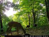 0-(Tract 8 at Titus) Parkinson Road - Photo 15