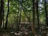 0-(Tract 8 at Titus) Parkinson Road - Photo 21