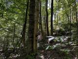 0-(Tract 8 at Titus) Parkinson Road - Photo 22