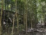 0-(Tract 8 at Titus) Parkinson Road - Photo 27
