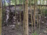 0-(Tract 8 at Titus) Parkinson Road - Photo 31