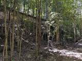 0-(Tract 8 at Titus) Parkinson Road - Photo 32